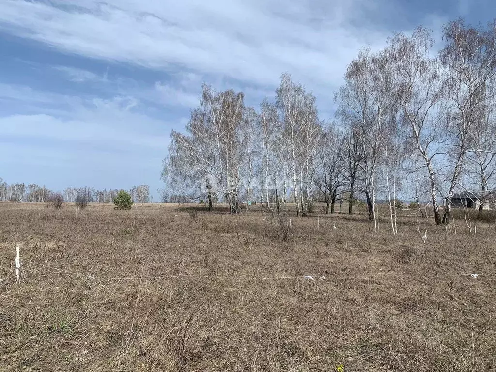 Участок в Башкортостан, Туймазинский район, с. Старые Туймазы Новая ... - Фото 0