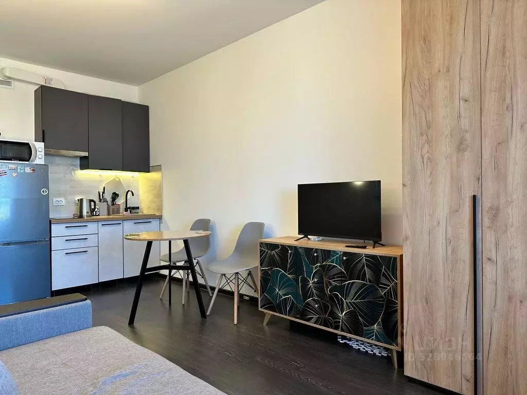 Студия Санкт-Петербург просп. Буденного, 23к1 (24.3 м) - Фото 1