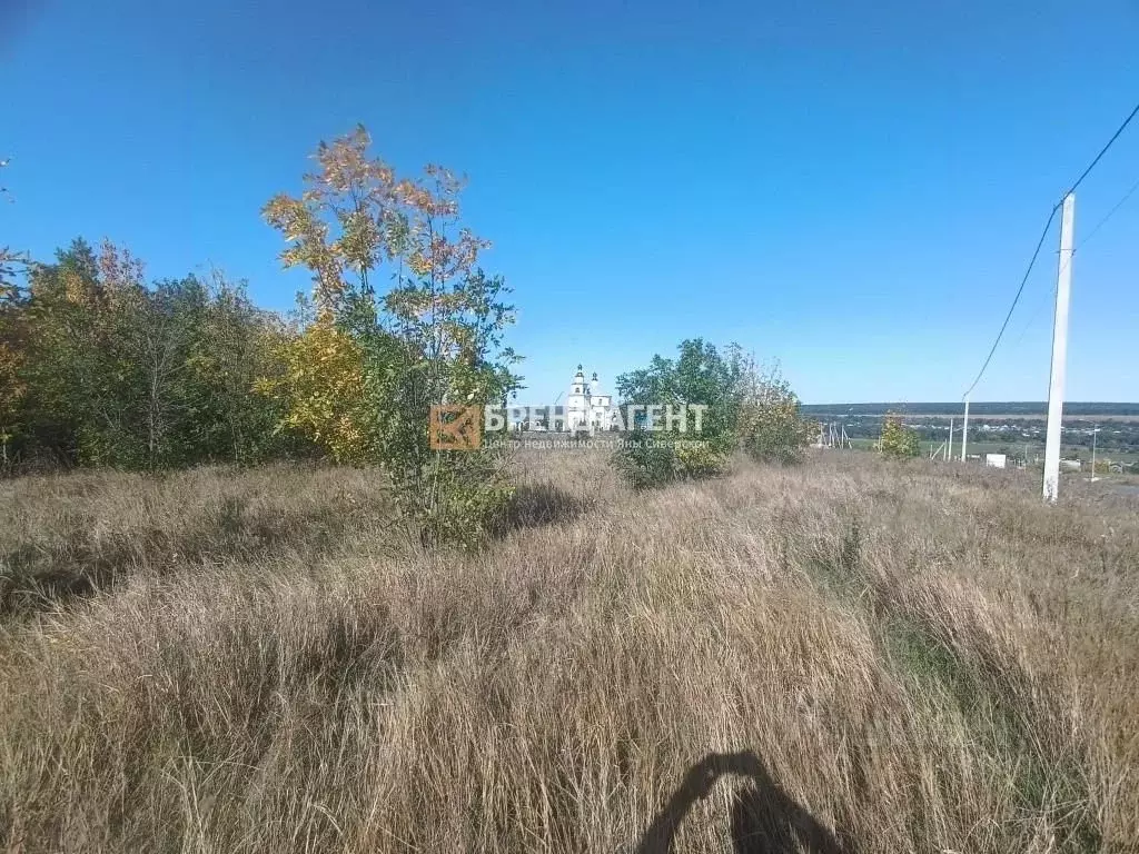 Участок в Белгородская область, Белгородский район, Беломестненское ... - Фото 1