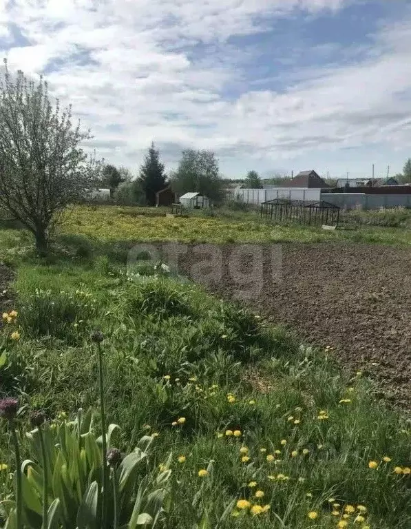 Дом в Вологодская область, Колбино садоводческое товарищество  (46 м) - Фото 1