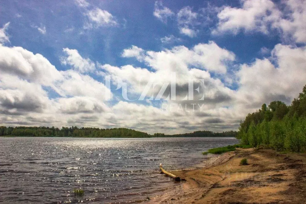 Участок в Ленинградская область, Всеволожский район, Куйвозовское ... - Фото 2