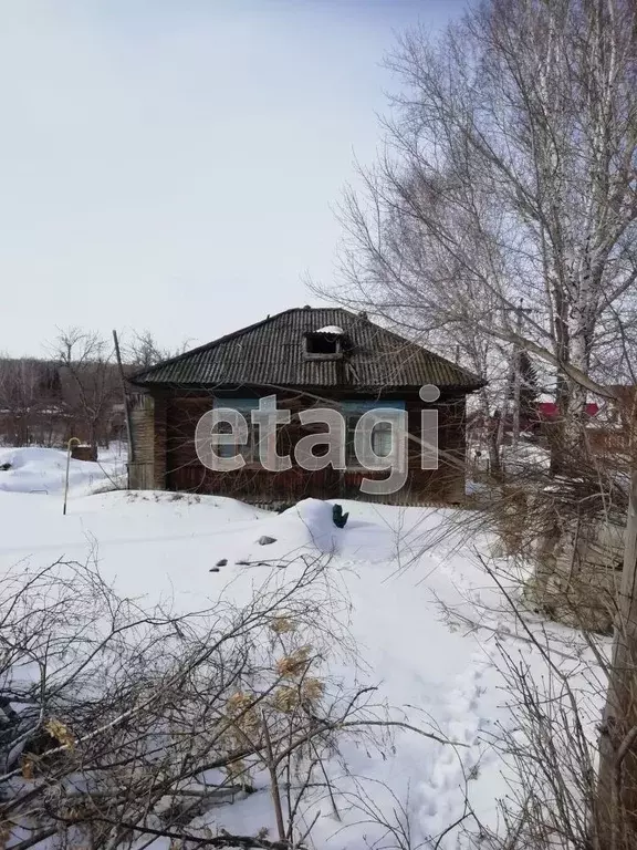 Дом в Алтайский край, Алтайский район, с. Алтайское ул. Карла Маркса, ... - Фото 1
