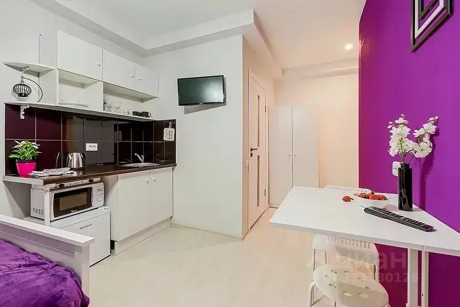 1-к кв. Санкт-Петербург наб. Реки Фонтанки, 52 (18.0 м) - Фото 1