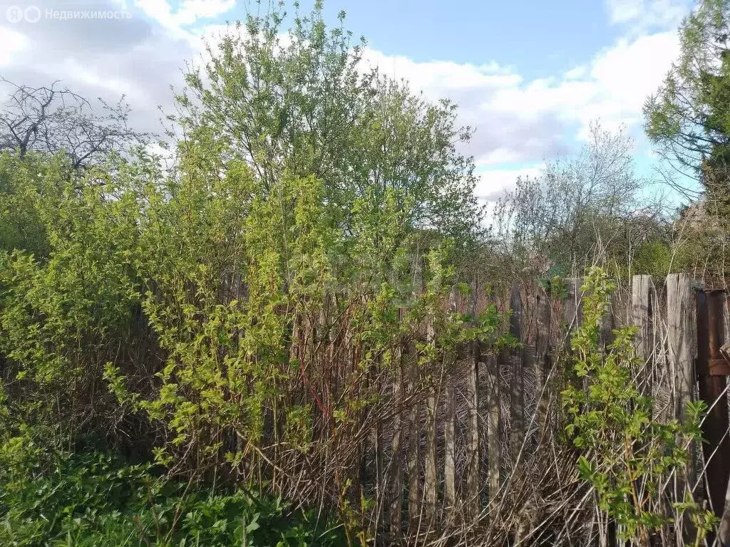 Дом в Калужская область, Жуковский муниципальный округ, сельское ... - Фото 2