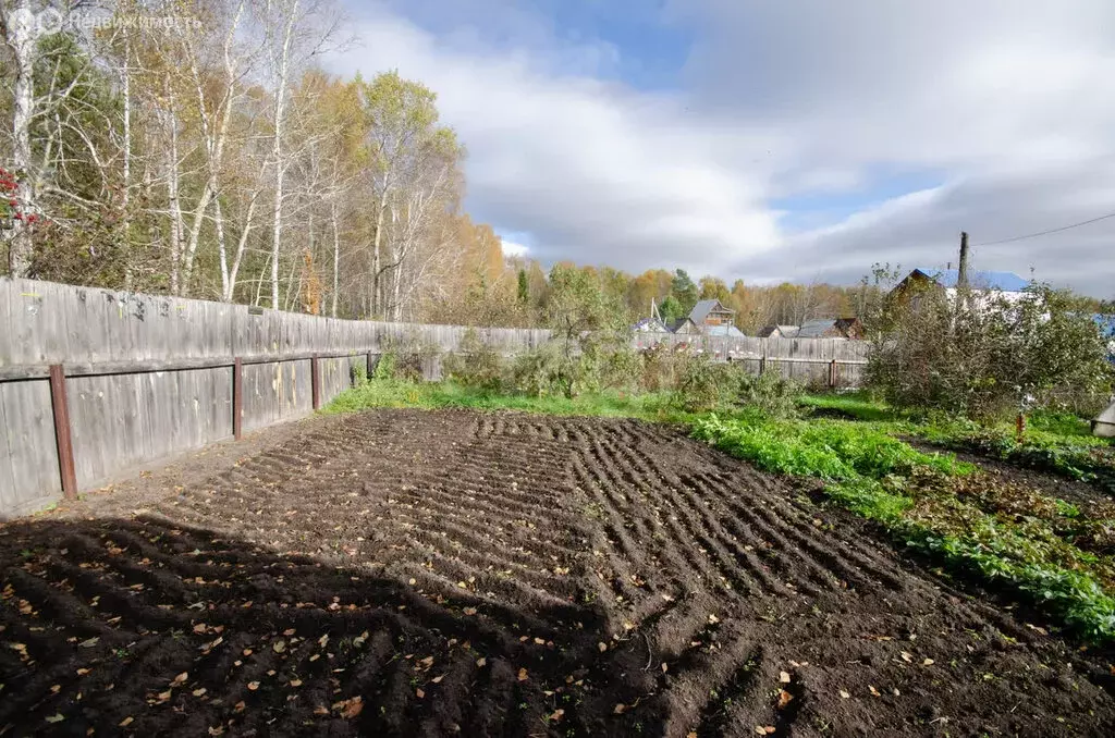 Дом в Тюменская область, Ялуторовский муниципальный округ, село ... - Фото 2