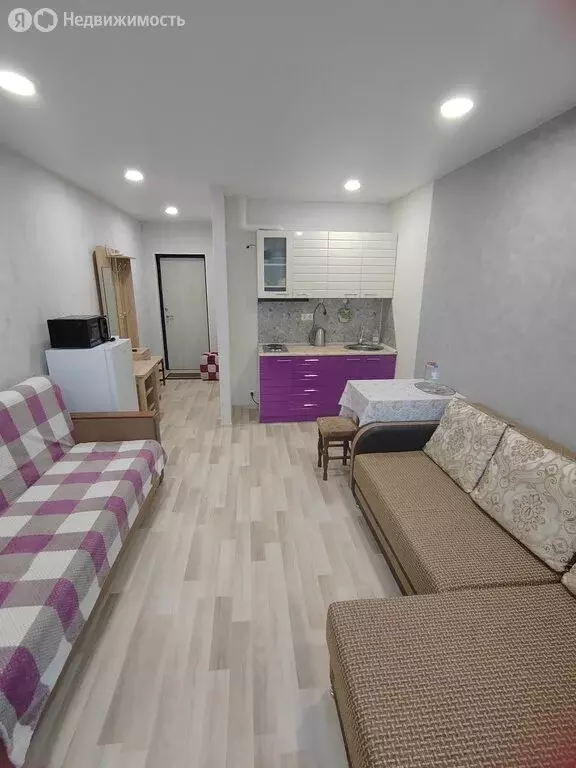 Квартира-студия: село Нижняя Шиловка, Светогорская улица, 26 (26 м) - Фото 2
