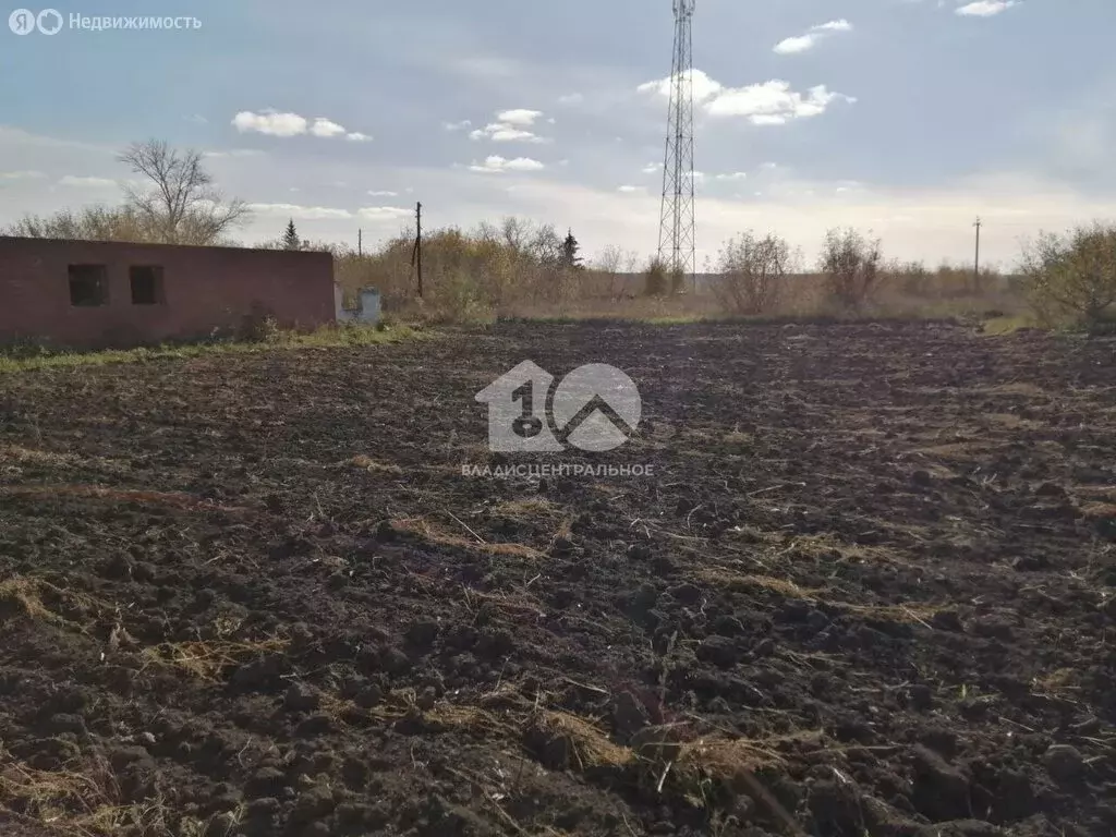 Участок в Ордынский район, село Рогалёво, Школьная улица (13.64 м) - Фото 2