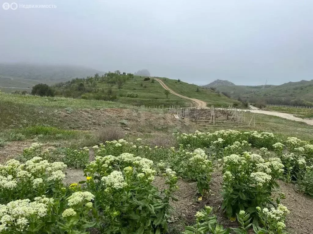 Участок в Курортное, Медовая улица (6 м) - Фото 2