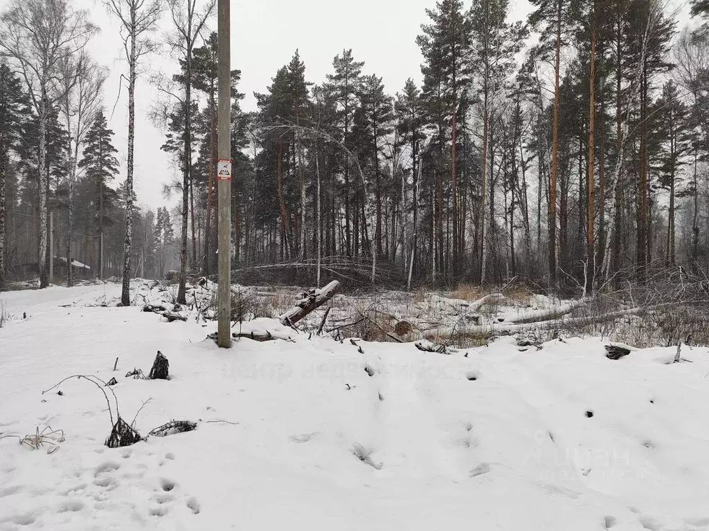 Участок в Свердловская область, Полевской городской округ, с. ... - Фото 0
