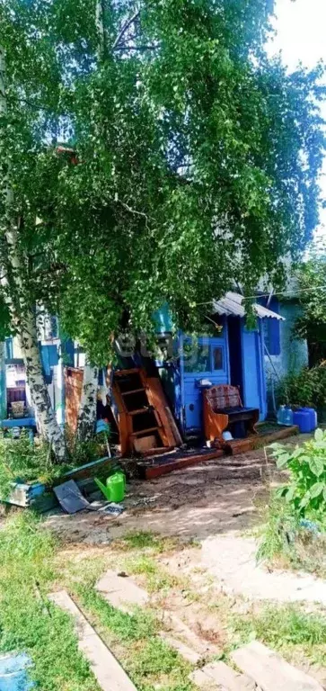 Дом в Забайкальский край, Чита Заря СОТ,  (40 м) - Фото 1