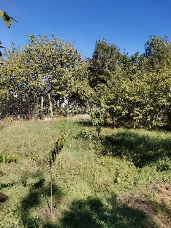 Участок в Краснодарский край, Анапа Алексеевка мкр, ул. Родниковая, 11 ... - Фото 2