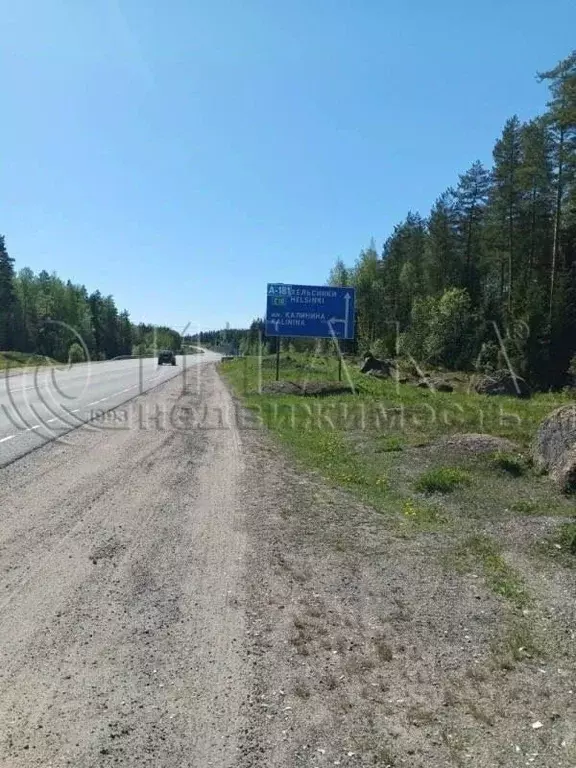 Участок в Ленинградская область, Выборг ш. Калининское (10.0 сот.) - Фото 1