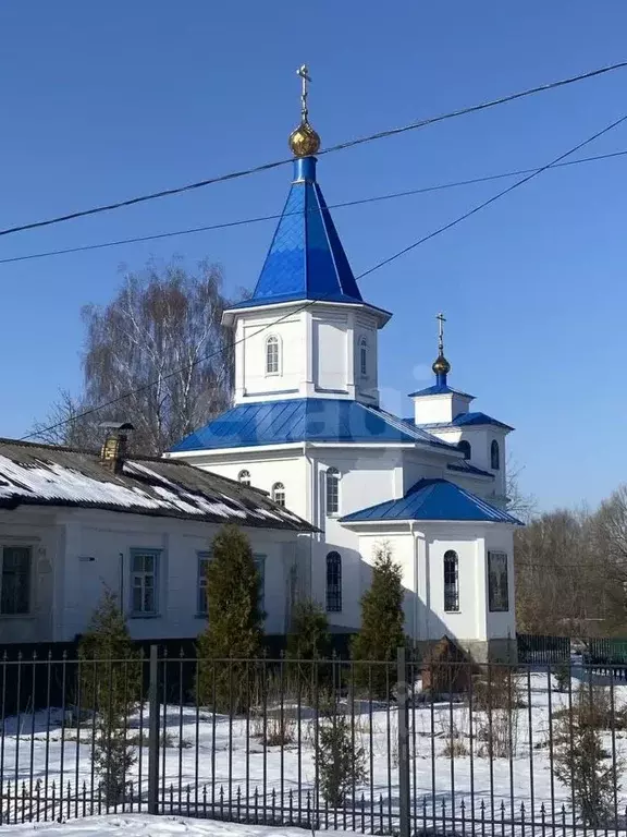 Участок в Калужская область, Перемышльский район, Ахлебинино с/пос, с. ... - Фото 2