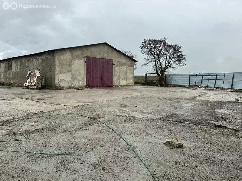 Склад (2000 м) - Фото 1