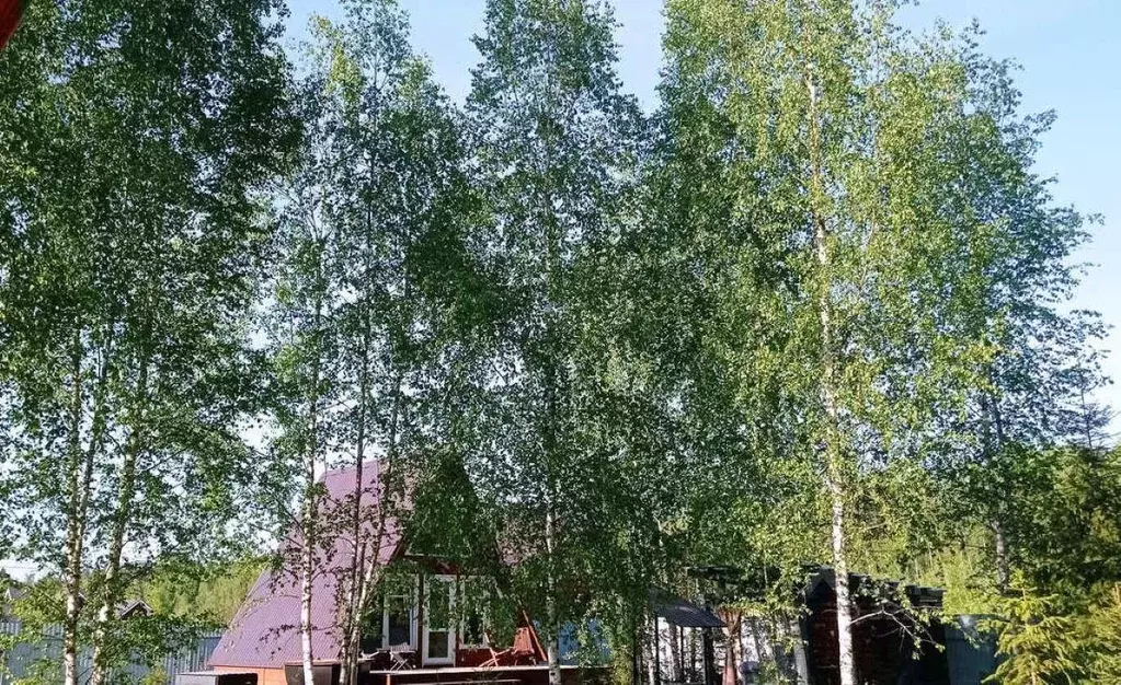 Дом в Московская область, Истра муниципальный округ, пос. Полевшина ... - Фото 1