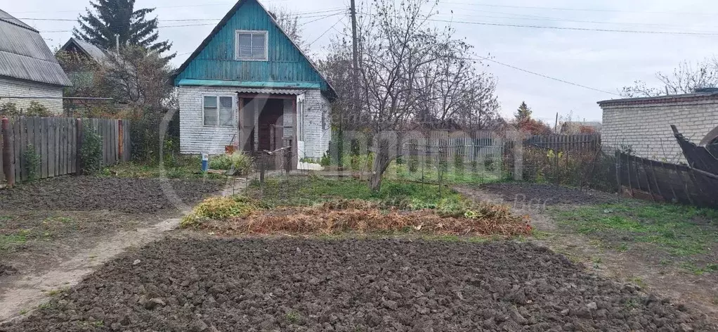 Дом в Курганская область, Курган Зауральский Садовод СНТ, ул. ... - Фото 1