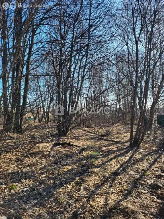 Участок в Видное, район Расторгуево, улица Гоголя (22 м) - Фото 1