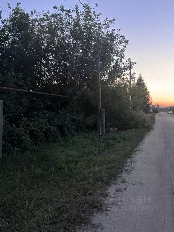 Участок в Тамбовская область, Жердевка ул. Суворова (9.81 сот.) - Фото 2