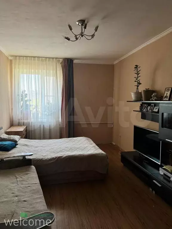 2-к. квартира, 51 м, 6/6 эт. - Фото 1