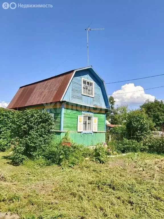 Дом в Колыванский район, СНТ Электрон (60 м) - Фото 1