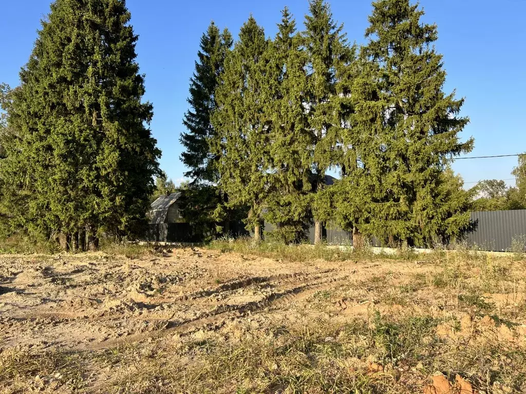 Участок в Московская область, Пушкино Мамонтовка мкр, ул. Елочки (8.5 ... - Фото 1