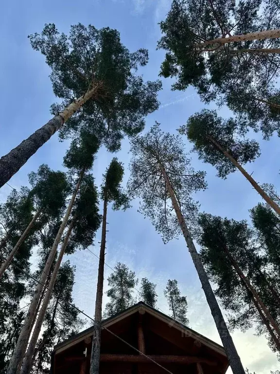 Дом в Ленинградская область, Ломоносовский район, Лебяженское ... - Фото 2