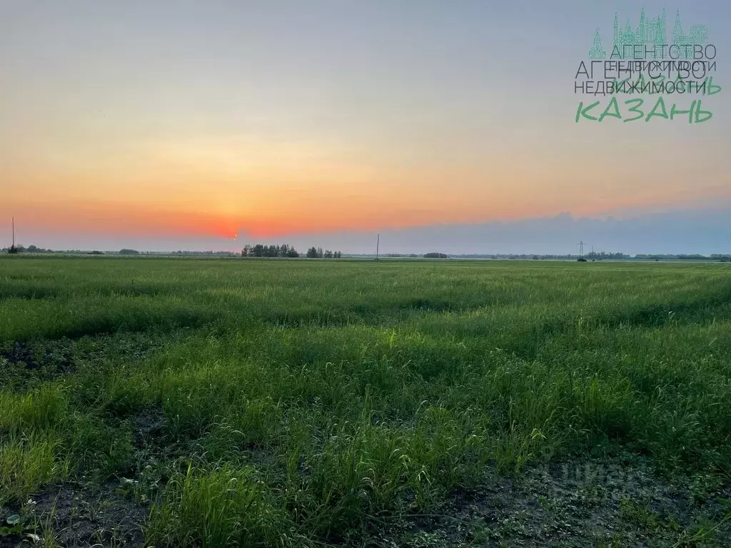 Участок в Татарстан, Лаишевский район, с. Рождествено  (379.0 сот.) - Фото 1