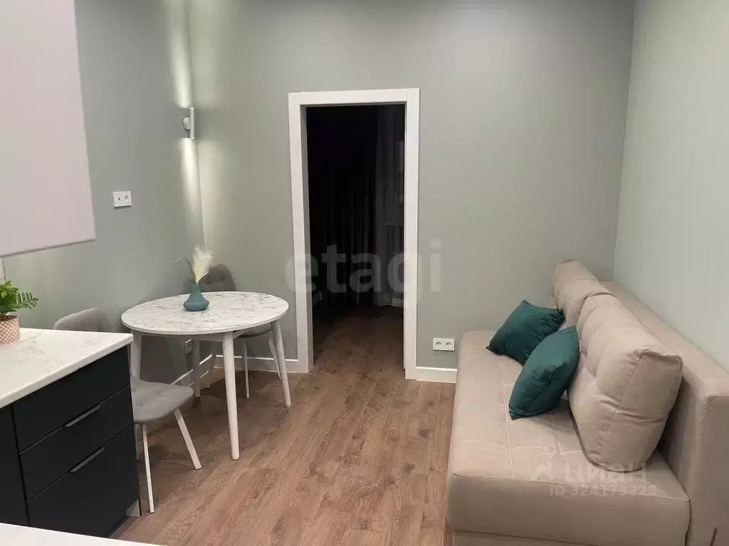 1-к кв. Татарстан, Казань Профессора Камая ул., 10к4 (24.7 м) - Фото 1