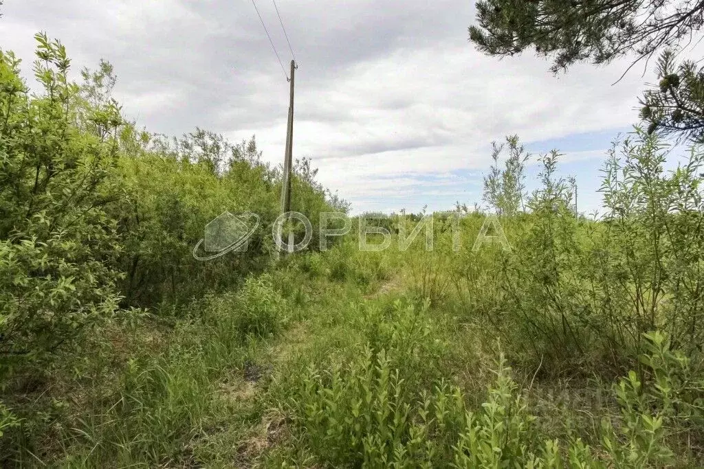 Участок в Тюменская область, Тюменский муниципальный округ, ... - Фото 1