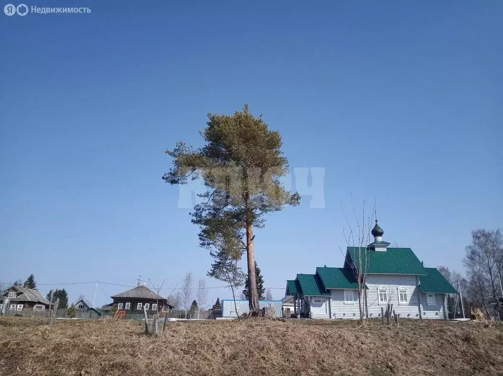 Участок в Вологодская область, Сокольский муниципальный округ, деревня ... - Фото 0