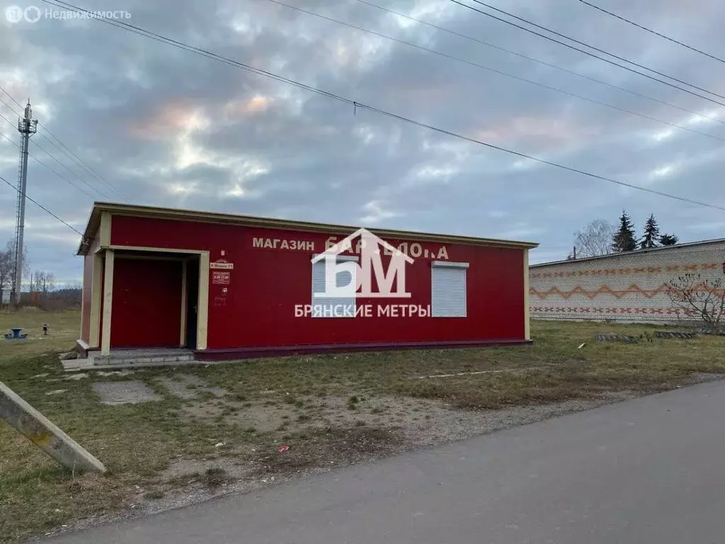 Торговая площадь (66.4 м) - Фото 2