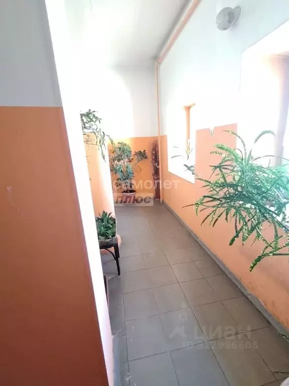 2-к кв. Забайкальский край, Могоча Березовая ул., 43 (62.0 м) - Фото 1