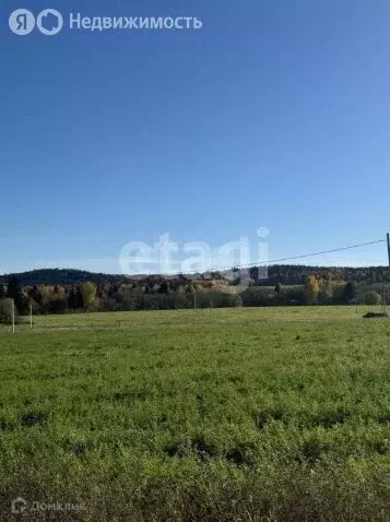 Участок в Пермский муниципальный округ, квартал Полюдовский (20 м) - Фото 1