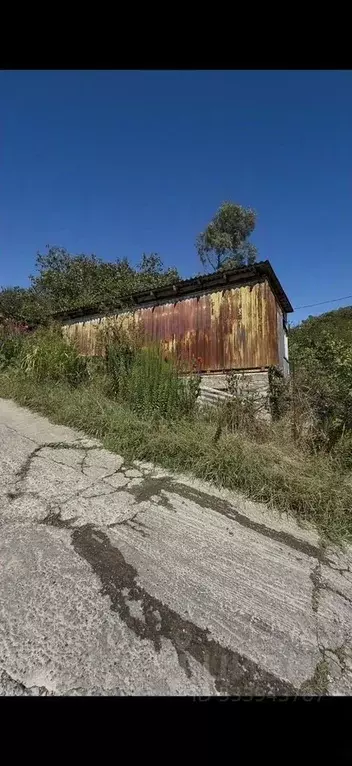 Участок в Краснодарский край, Сочи городской округ, с. Высокое, Бургас ... - Фото 1