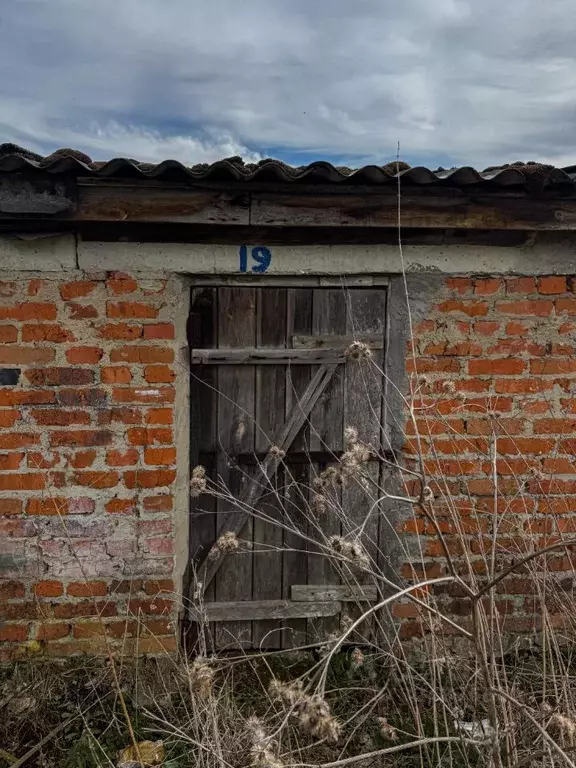 Помещение свободного назначения в Орловская область, Кромы пгт ул. К. ... - Фото 1