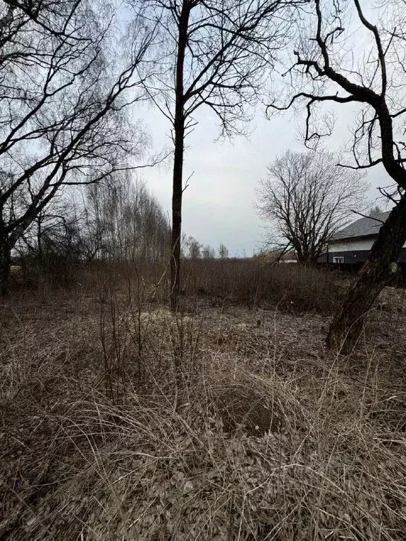 Участок в Московская область, Талдомский городской округ, д. Новая  ... - Фото 0