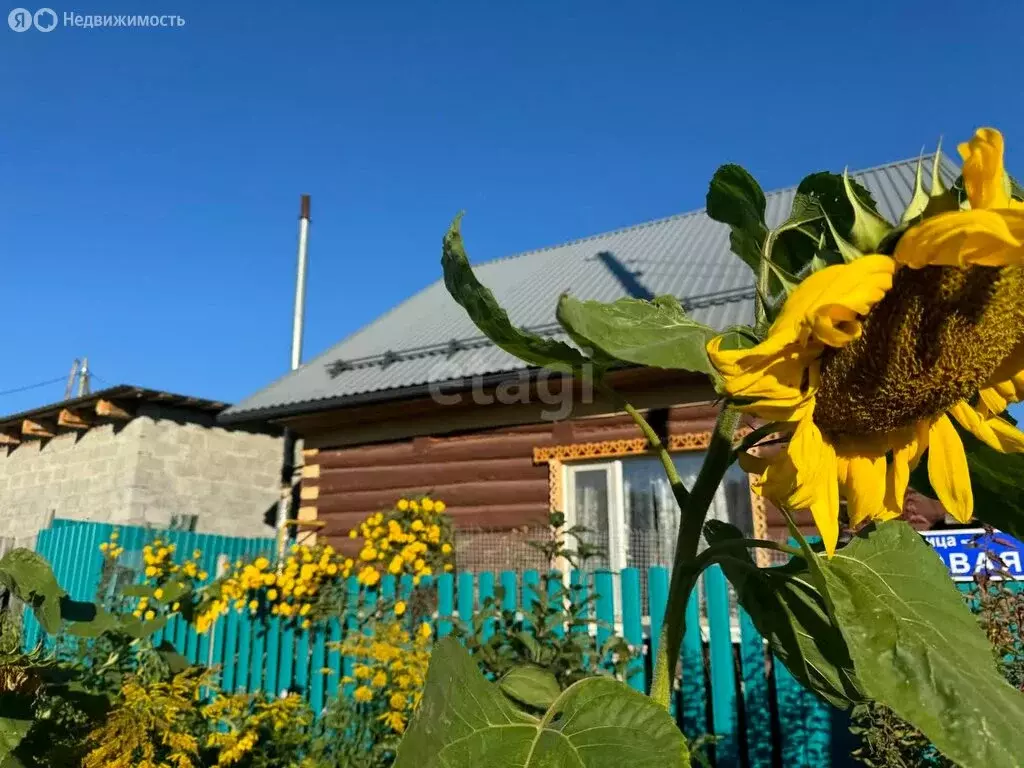 Дом в посёлок Прииртышский, улица Редикульцева (40.7 м) - Фото 0