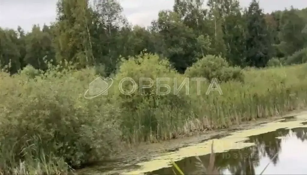 Участок в Тюменская область, Нижнетавдинский район, с. Велижаны ... - Фото 1