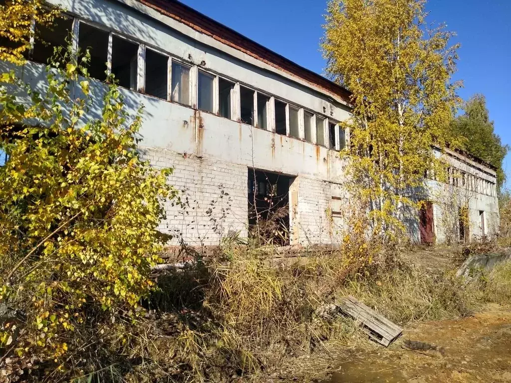 Помещение свободного назначения в Московская область, Солнечногорск ... - Фото 1