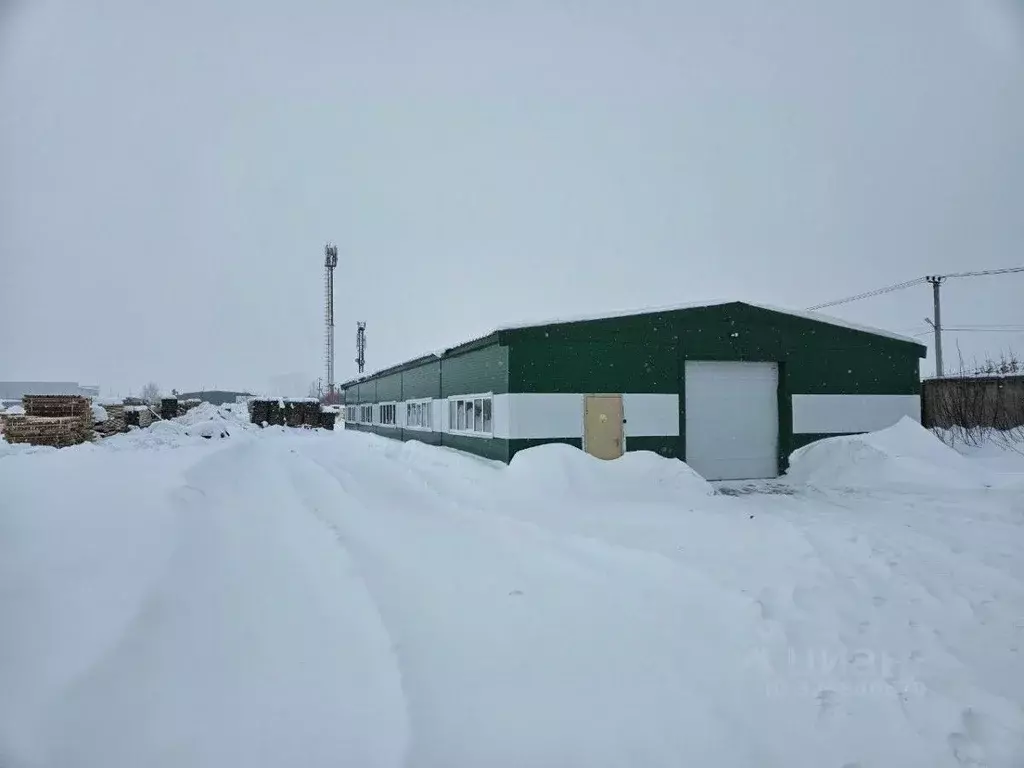 Производственное помещение в Татарстан, Набережные Челны пос. ... - Фото 2