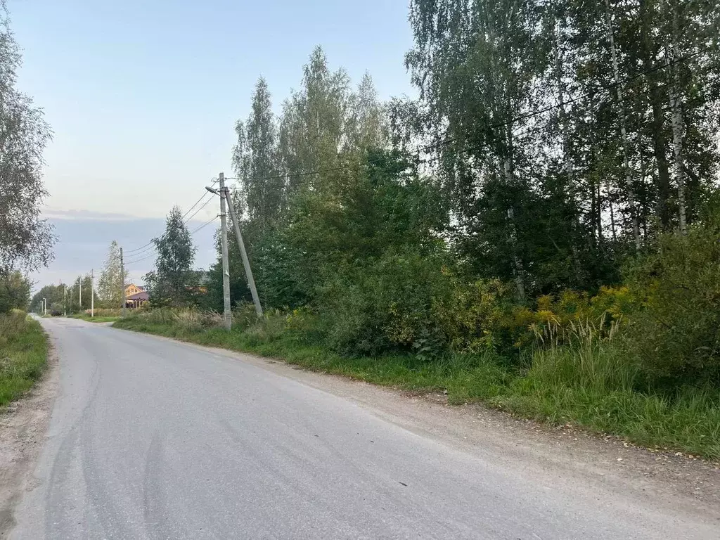 Участок в Тульская область, Тула городской округ, д. Ивановка ул. ... - Фото 2