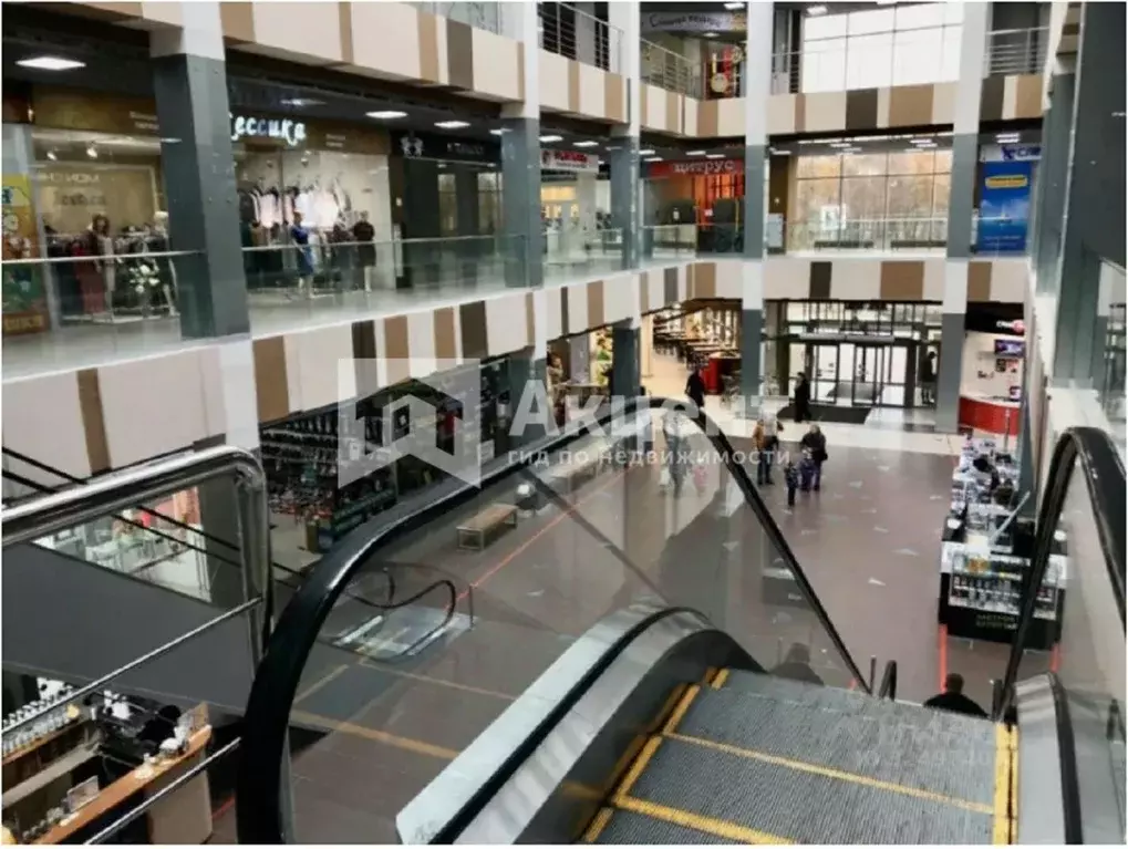 Торговая площадь в Ивановская область, Иваново Лежневская ул., 117 (63 ... - Фото 2