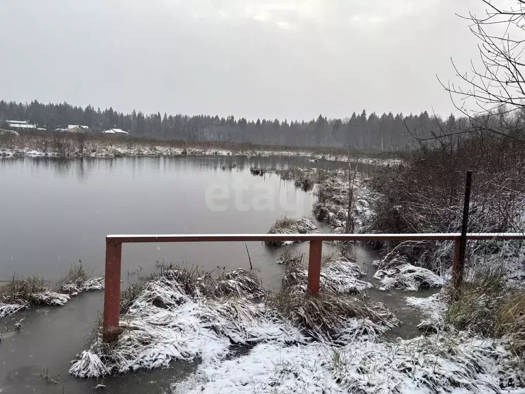 Участок в Московская область, Дмитровский муниципальный округ, ... - Фото 1