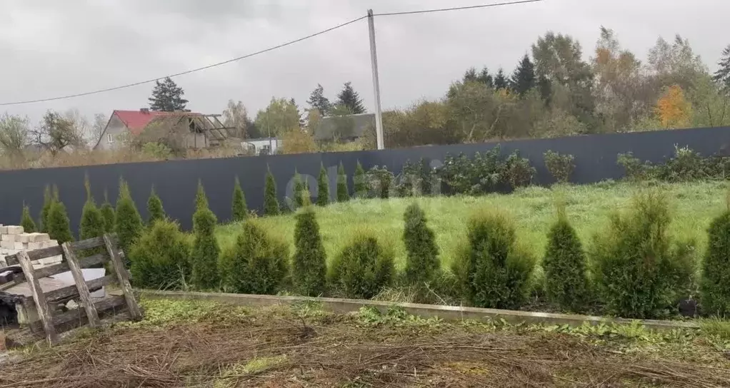 Участок в Калининградская область, Гурьевский муниципальный округ, ... - Фото 1