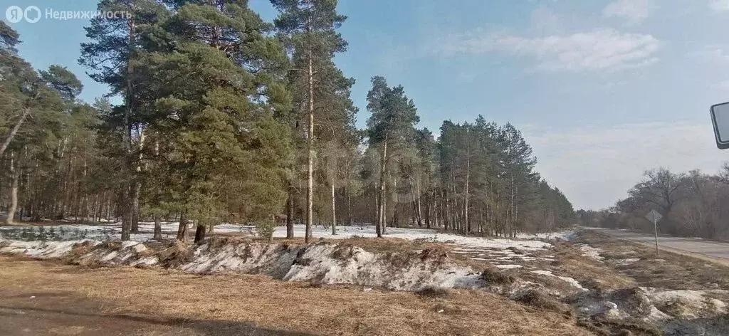 Участок в Московская область, городской округ Серпухов, деревня ... - Фото 1