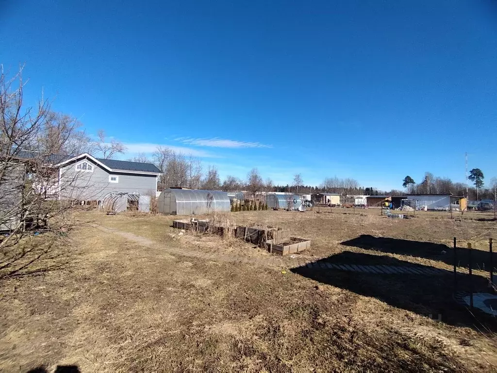 Участок в Ленинградская область, Гатчинский муниципальный округ, пос. ... - Фото 2