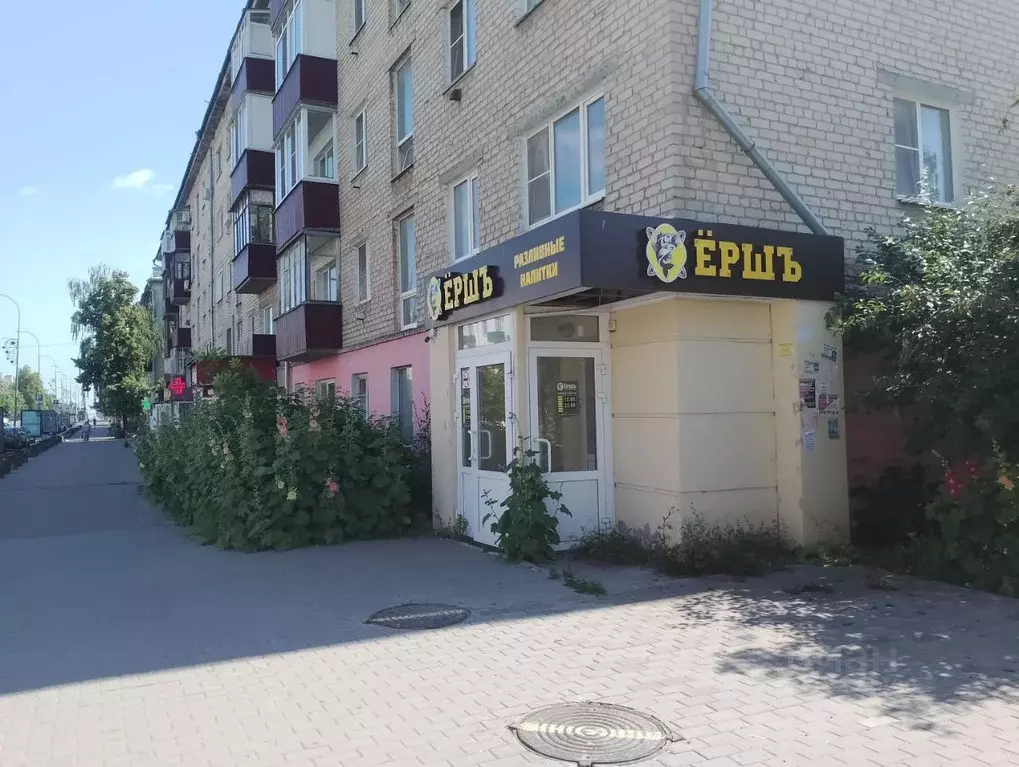 Помещение свободного назначения в Нижегородская область, Кстово ул. 40 ... - Фото 1
