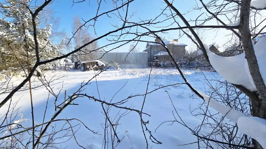 Участок в Московская область, Раменский муниципальный округ, Ильинский ... - Фото 2