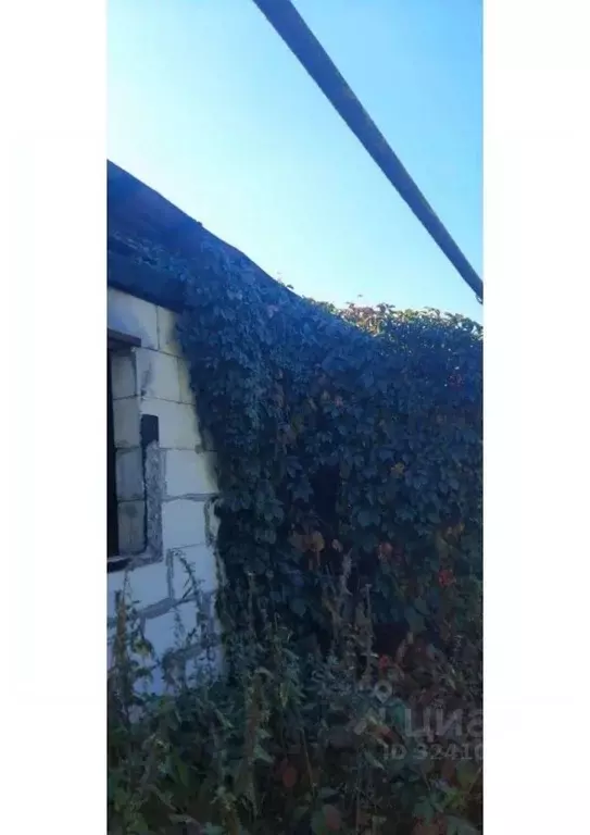 Дом в Пензенская область, Сердобский район, Куракинский сельсовет, с. ... - Фото 2