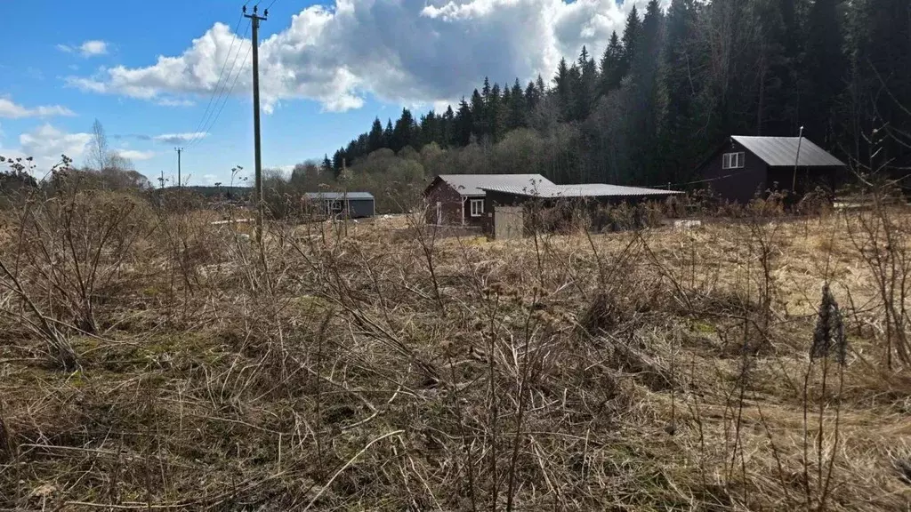 Участок в Карелия, Сортавала ул. Энергетиков (15.0 сот.) - Фото 1